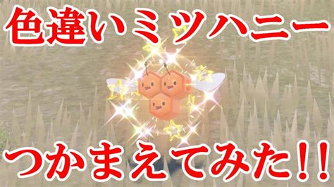 【ポケモンsv】色違いミツハニーつかまえてみた！！ Youtube