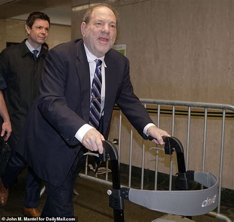 Harvey Weinstein S Defense Compares Him To Tiger Woods Claiming He S A Sex Addict Daily Mail