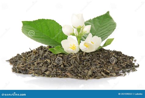 jasmine tea  flowers  karla trent blog