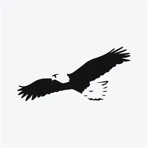 Eagle Flying Wing Beak Talon Doodle Artofit