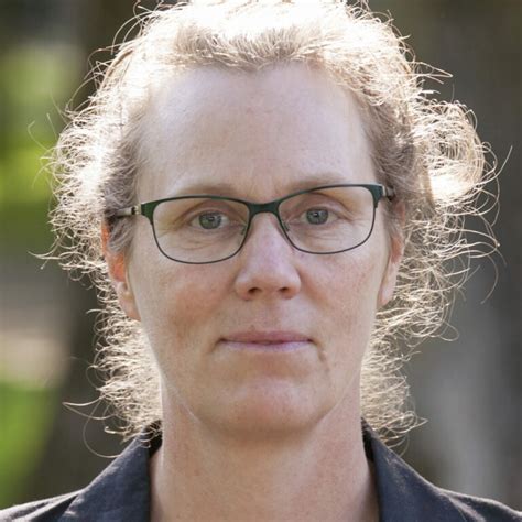 Sex vågor av inflyttning efter istiden Forskning Framsteg