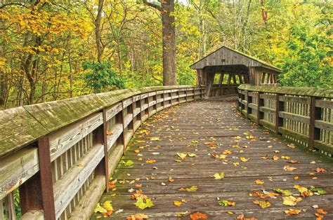 toledo ohio arrests 4