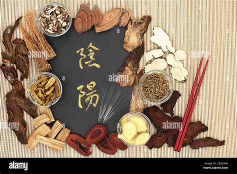 Chinese Acupuncture Needles With Yin And Yang Herbs Used In Traditional