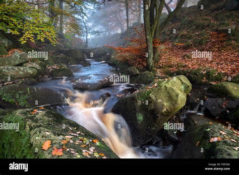 padley gorge  autumn  grindleford peak district national park