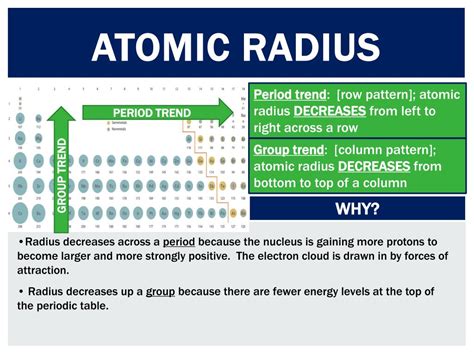 anatomy   periodic table powerpoint