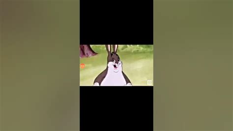 Big Chungus Song Youtube