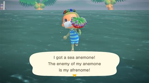 Animal Crossing August Sea Creatures