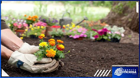 Descubren que las plantas lloran cuando son expuestas al estrés o son