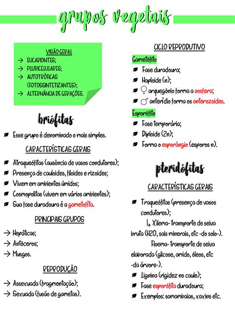 Grupo Dos Vegetais - Grupos Vegetais - Resumo - CARACTERÍSTICAS GERAIS Esse grupo é ...
