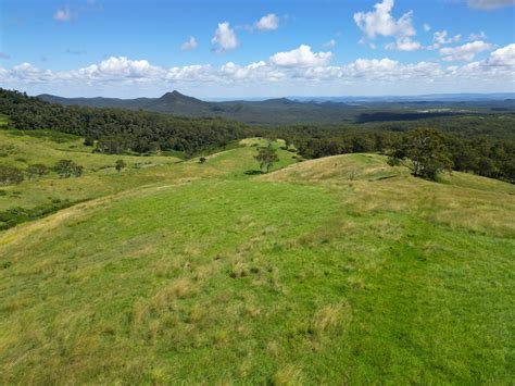 How to Find Top-Rated Estate Agents in Crediton 10