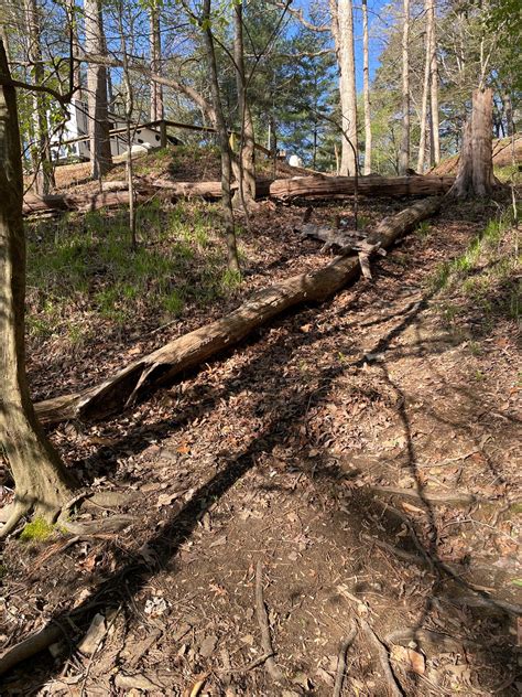 Mckinney Campground Site Trail To Water Imagine Camper