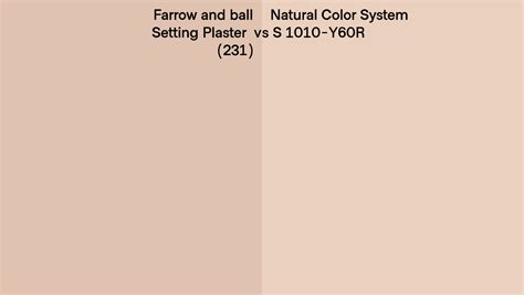 Farrow And Ball Setting Plaster 231 Vs Natural Color System S 1010 Y60r Side By Side Comparison