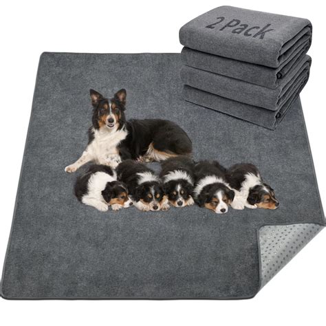 LOOBANI Washable Pee Pad for Dogs, 2 Packs Non-Slip Puppy Training Pads