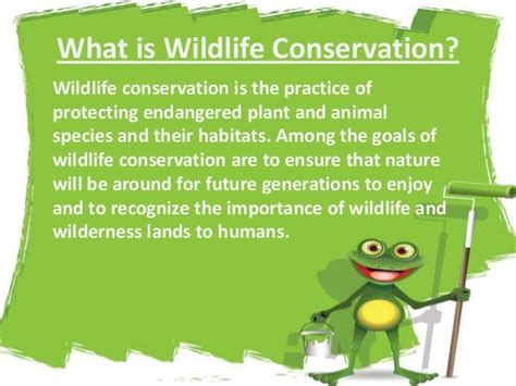 Wildlife Conservation