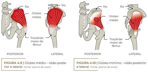 Glúteo Médio E Mínimo - ANATOMIA DA REGIÃO DOS GLÚTEOS APLICADA NA PRÁTICA - Dr. Roberto Chacur