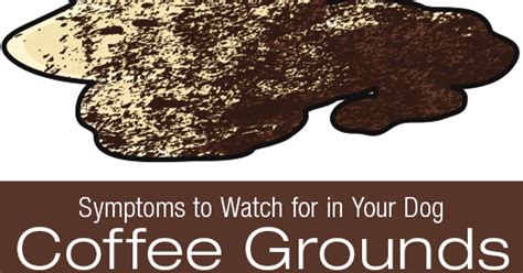 Coffee Ground Diarrhea