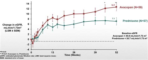 Effect Of Avacopan A Selective C5a Receptor Inhibitor On Kidney