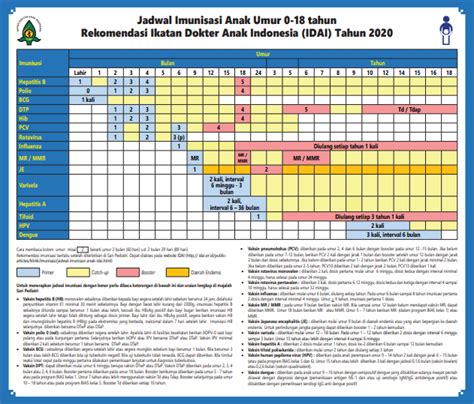 Jadwal Imunisasi Anak Terbaru Anjuran IDAI Hello Sehat