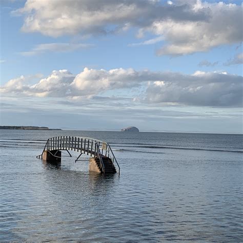 Are Dogs Allowed On Bridge To Nowhere
