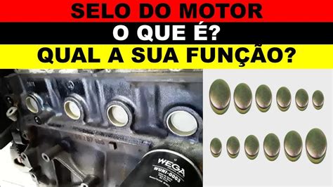Selo Motor Fire