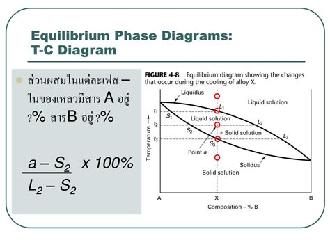 Phase Diagram Equilibrium Calculus Collection Of Phase Diagr