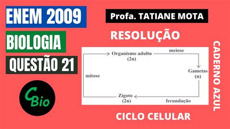 Enem 2009 Biologia QuestÃo 21 Ciclos De Vida Dos Seres Vivos