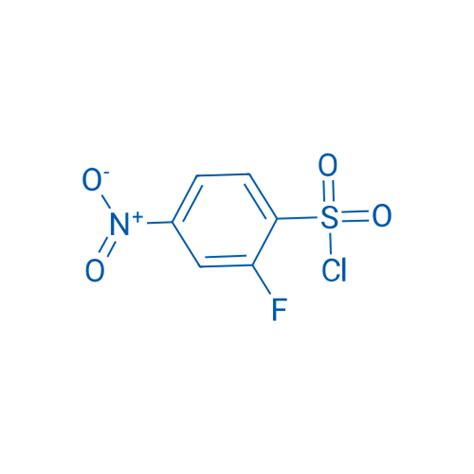 1146290 36 9 2 Fluoro 4 Nitrobenzene 1 Sulfonyl Chloride BLD Pharm