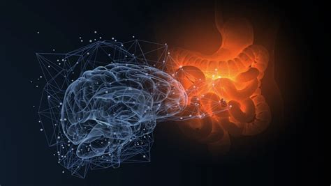 Gut-Brain Axis Therapeutics