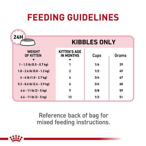 Kitten Weight Food Chart At Laura Stanley Blog
