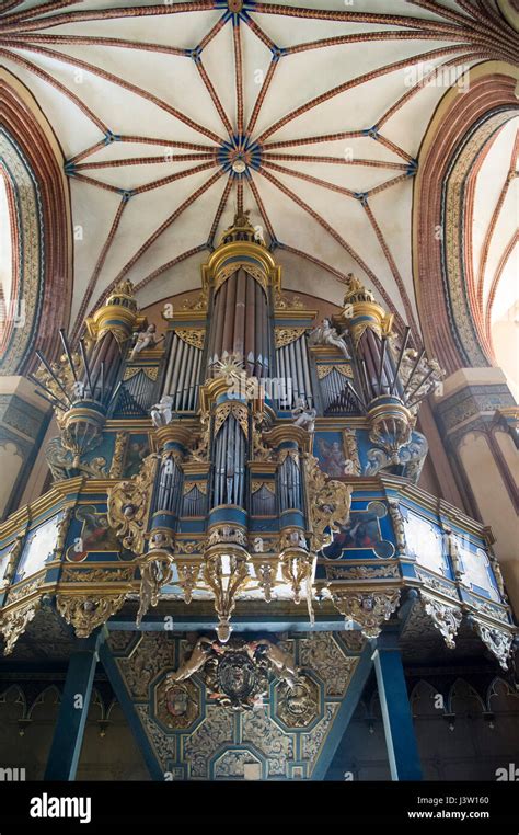 Famoso PIPE ORGAN Barroco en gótico Archcathedral Basílica de la