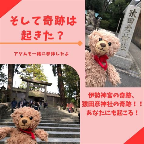 そして奇跡は起きた？伊勢神宮の奇跡、猿田彦神社の奇跡！！あなたにも起こる！ ほしよみ堂｜京都で一番当たる占い館