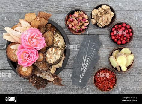 Chinese Herbs Fruit And Flowers And Acupuncture Needles Used In