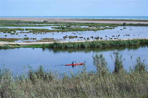 ebro delta  nature ideas  southern catalonia