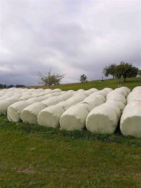 Silageballen Siloballen Kaufen Landwirt