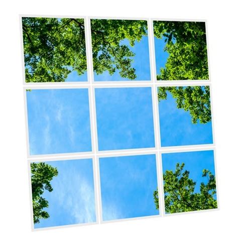 Pack De 9 Dalles Led Imprimées Fresh Garden