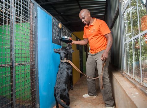 Pets Paradise: Unleash The Extraordinary At Pet Expo 2025