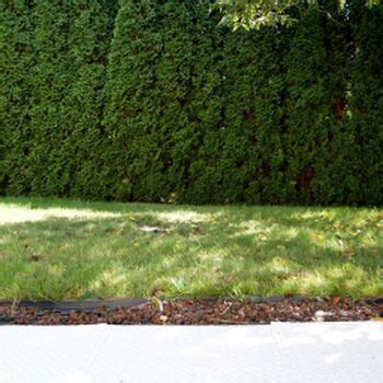 Intoxikaite Kait Marie Kaite Nude OnlyFans The Fappening Plus