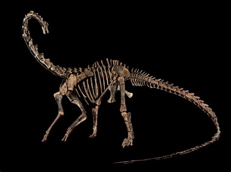 Three landmark scientific artifacts go to auction this week