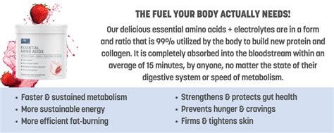 Essential Amino Acids Product Information Lynfit Nutrition
