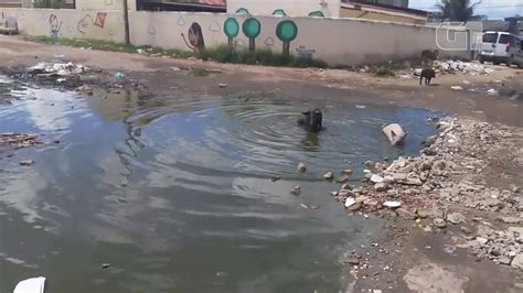 V Deo Alagamentos Em Rua Viram Piscina Para Porcos Na Zona Sul Do