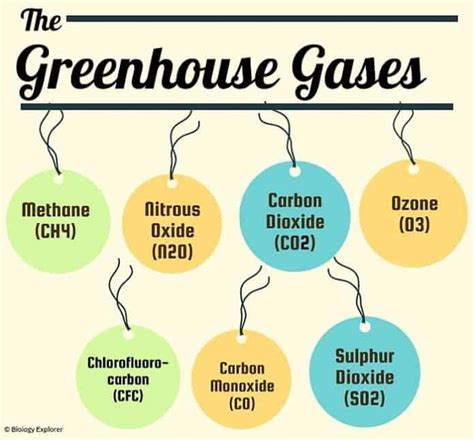 Types of Greenhouse Gases | Definition and Effects On Climate Change
