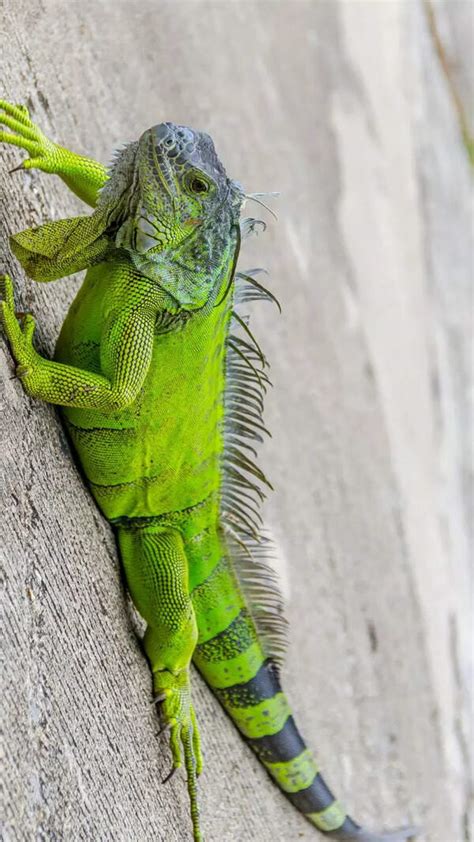 Bust Of Illegal Sex Racket In Ranchi Women Detained From Private Girls Hostel Ranchi News