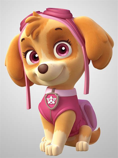 Skyeappearances Paw Patrol Wiki Fandom