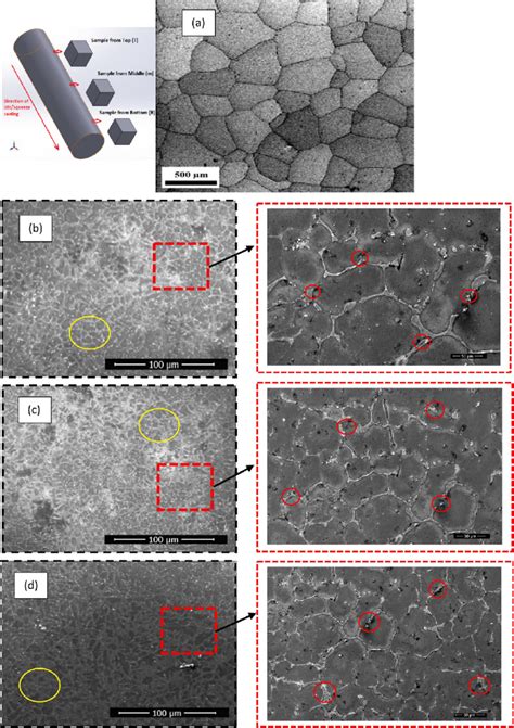 Fesem Microstructure Of Aa 2014 With A Ingot In As Procured Download Scientific Diagram