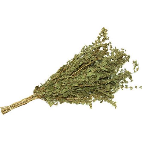 Веники для бани — Купить ОПТом или в розницу в Москве