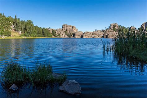3000 Black Hills Landscape Stock Photos Pictures And Royalty Free