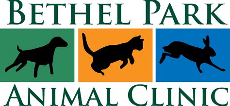 Contact Bethel Park Animal Clinic for an Appointment