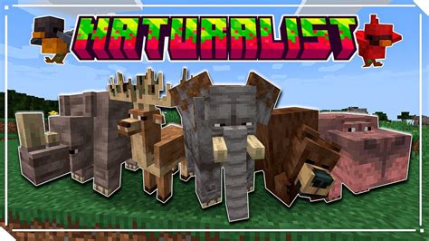 Naturalist Mod Explorando La Fauna De Minecraft Bosque Sabana Y Pantanos 119 Forgefabric