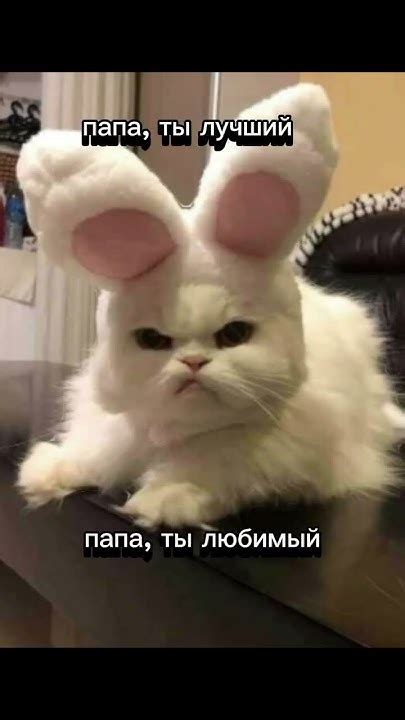 папа, ты крутой папа, ты лучший пцпцпккчкк - YouTube