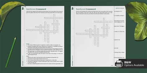 Ks Rainforest Crossword L Enseignant A Fait Twinkl